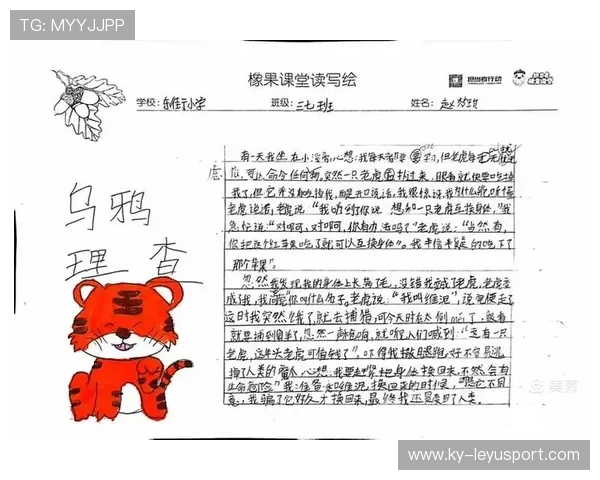 乌鸦那场真漂亮，攻防一体的范本，乌鸦salt